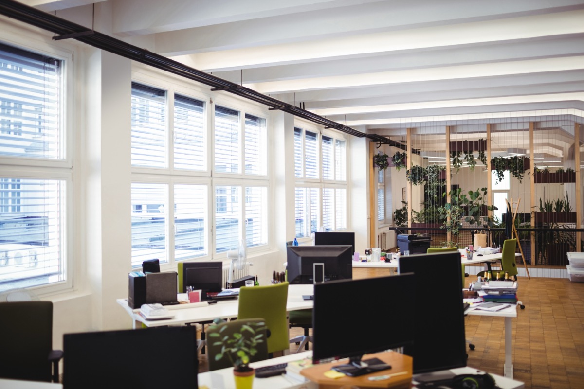 Évaluation IA NetSuite