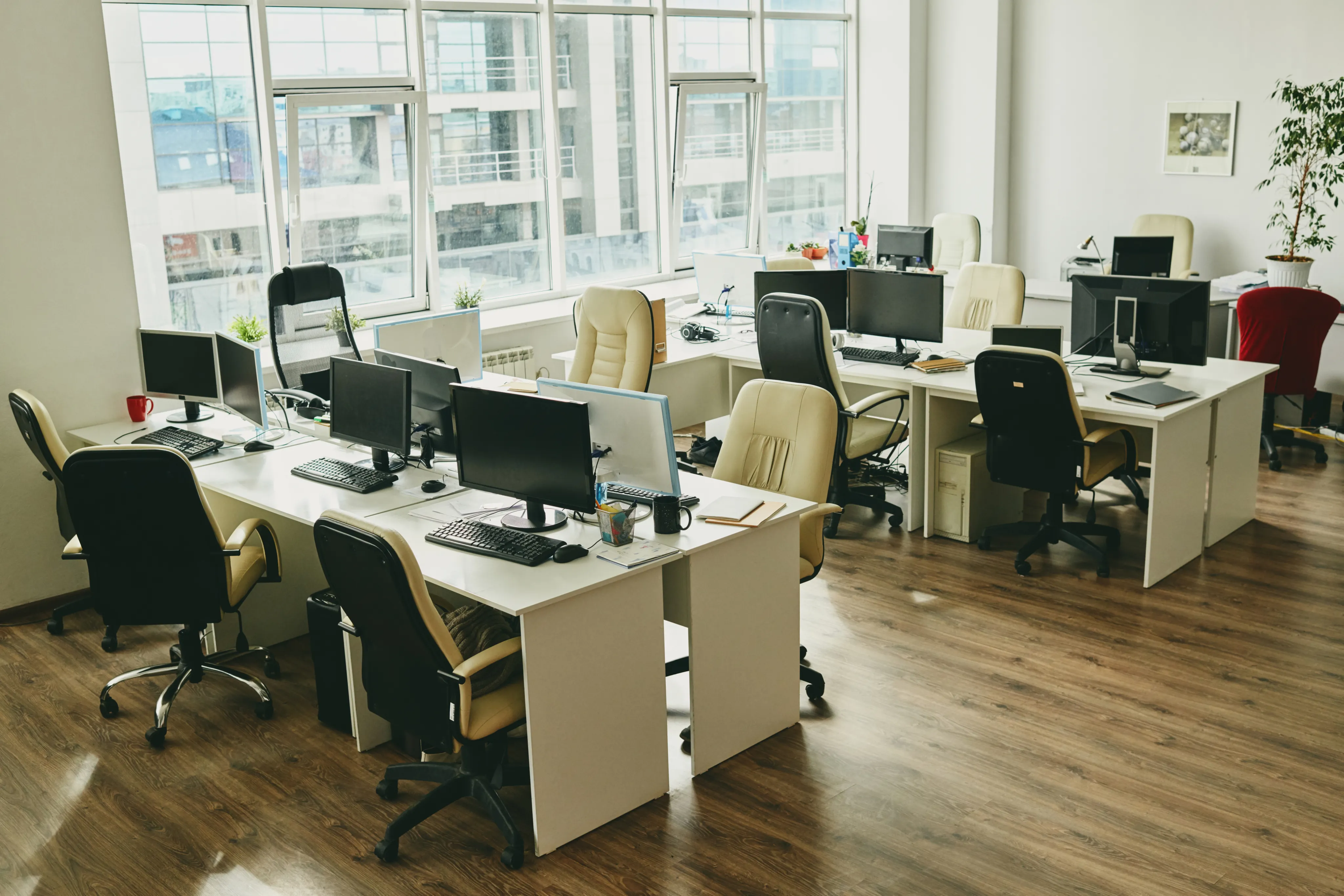 Team working in a NetSuite office